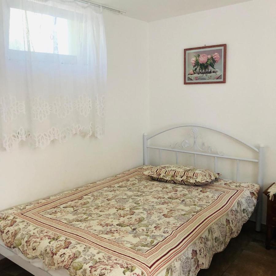 Студия С Двориком В Отраде Odessa Eksteriør billede